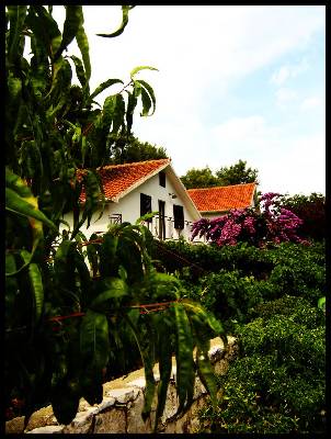 APARTMAJI ANA_MARIJA - VELA STINIVA