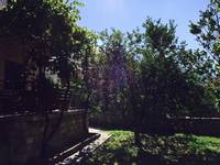 Apartmaji Divic Baška Voda