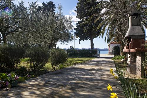 Apartmaji Olive Grove Inn Borik