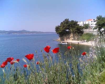 Apartmaji SEA STAR Zadar