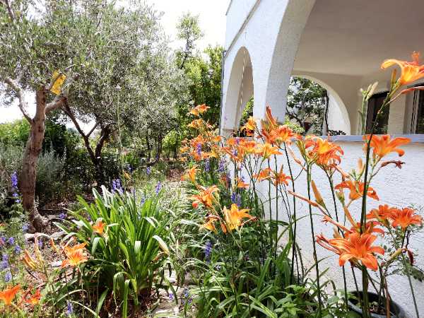 Apartmaji Milenka Mali Lošinj